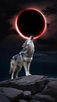 Aaron DiMartino_